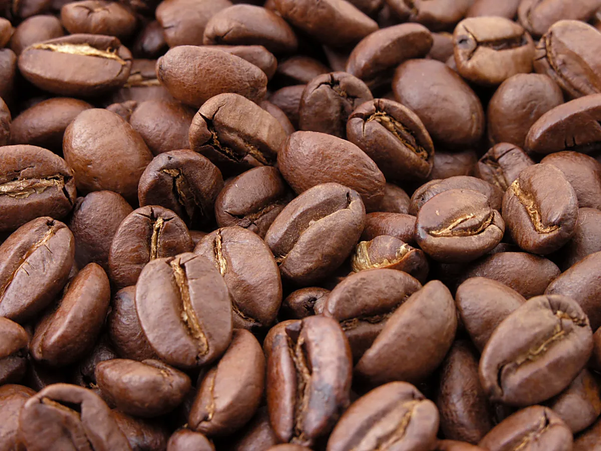画面いっぱいに並ぶ茶褐色の焙煎コーヒー豆