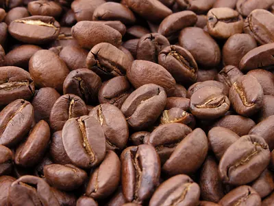 画面いっぱいに並ぶ茶褐色の焙煎コーヒー豆