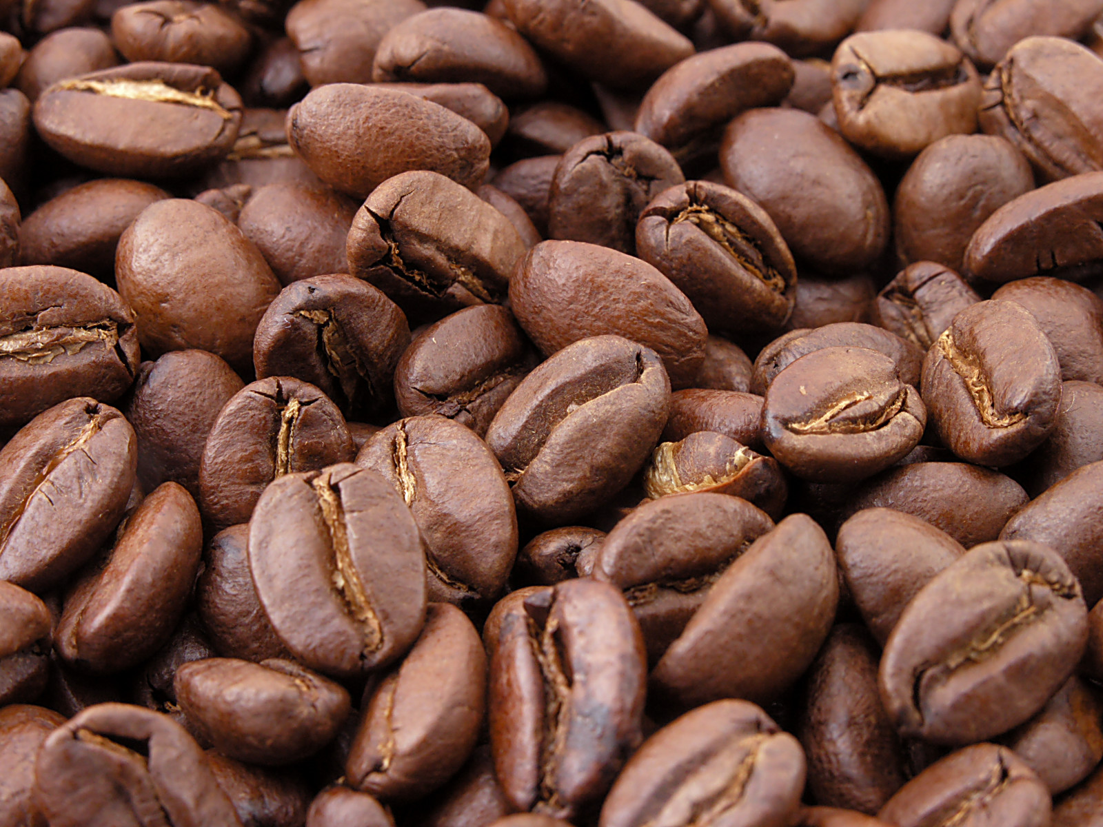 画面いっぱいに並ぶ茶褐色の焙煎コーヒー豆