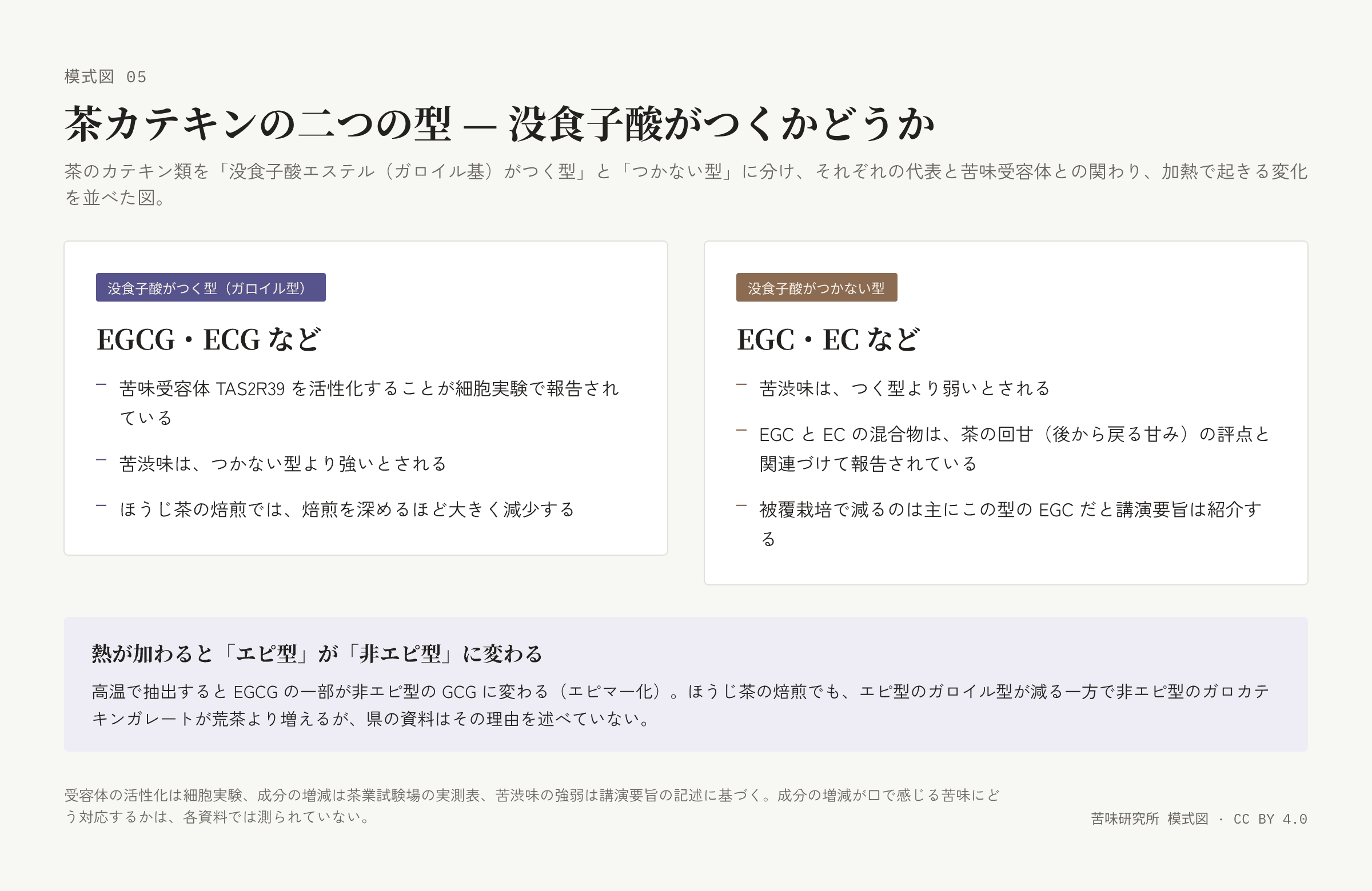左右二枚の札。左は「没食子酸がつく型」で受容体・苦渋味・焙煎の三行、右は「つかない型」で苦渋味・回甘・被覆栽培の三行。下に「熱でエピ型が非エピ型に変わる」帯。