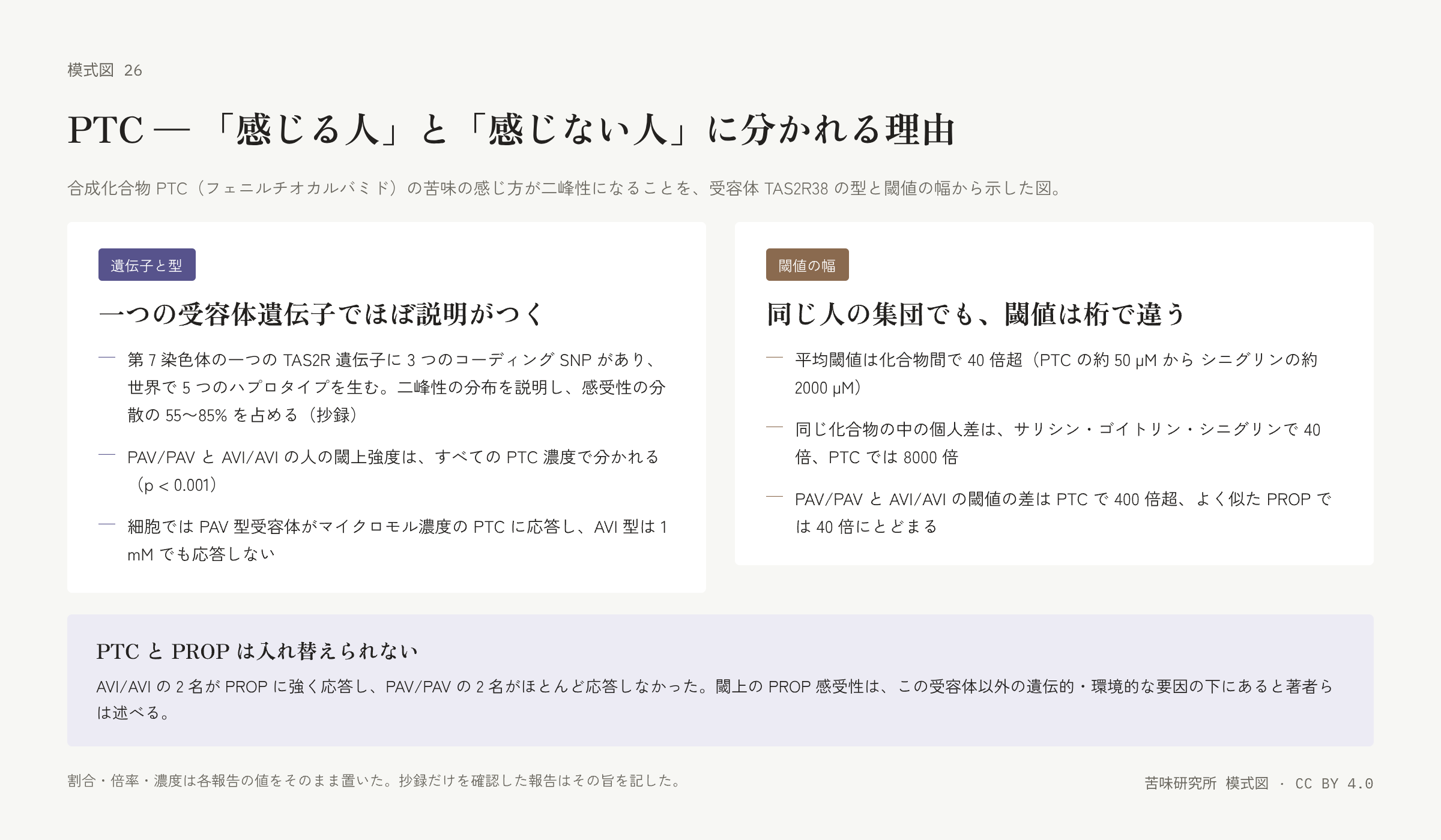 左右二枚の札。左は「遺伝子と型」の札で、一つの受容体遺伝子と五つのハプロタイプ、閾上強度の分離、細胞での PAV 型と AVI 型の応答の三行。右は「閾値の幅」の札で、化合物間の倍率、同じ化合物内の個人差、PTC と PROP での閾値差の三行。下に「PTC と PROP は入れ替えられない」の帯。