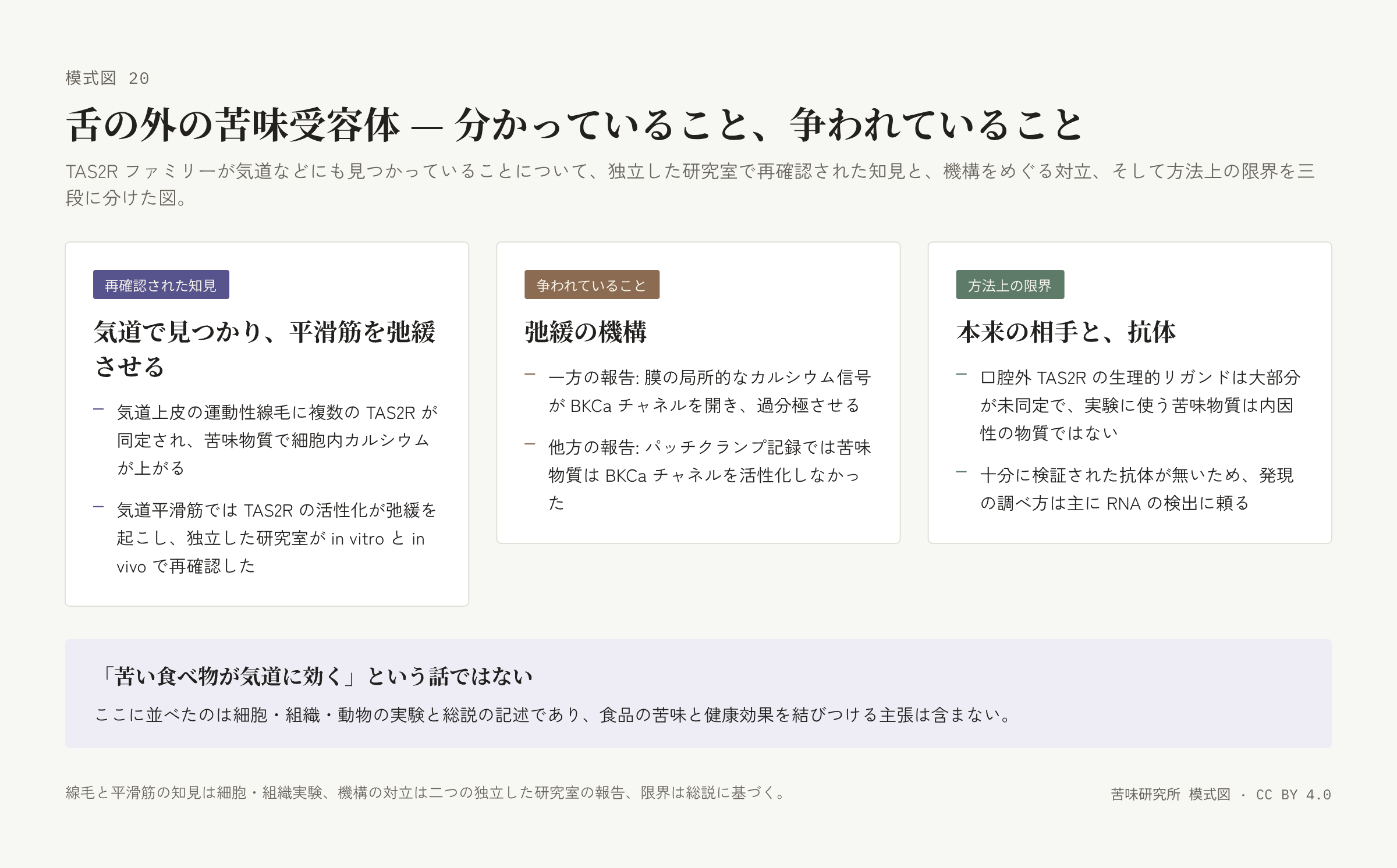 三枚の札。「再確認された知見」「争われていること」「方法上の限界」の順に各二行。下に「苦い食べ物が気道に効くという話ではない」の帯。